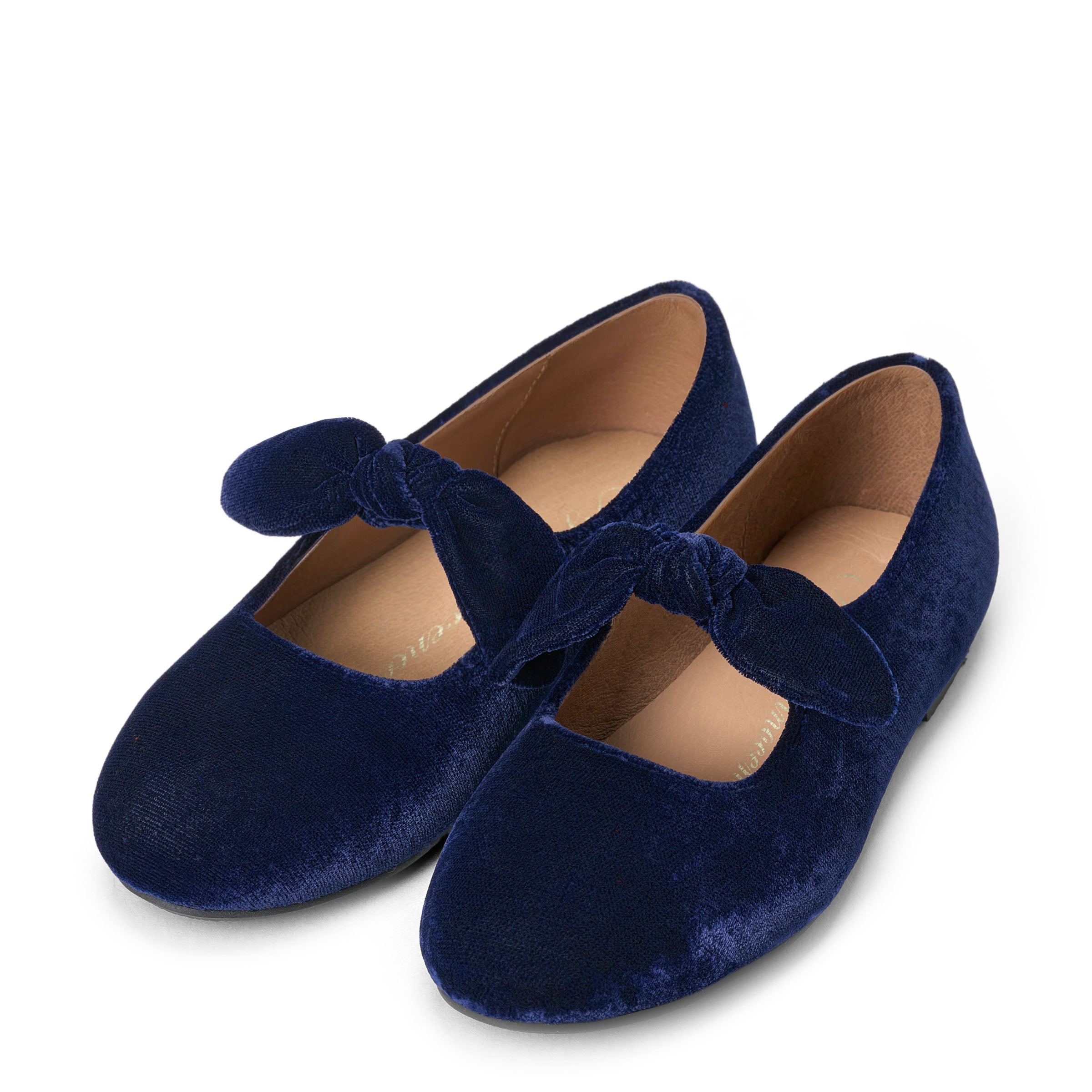 Claudine Navy Shoes