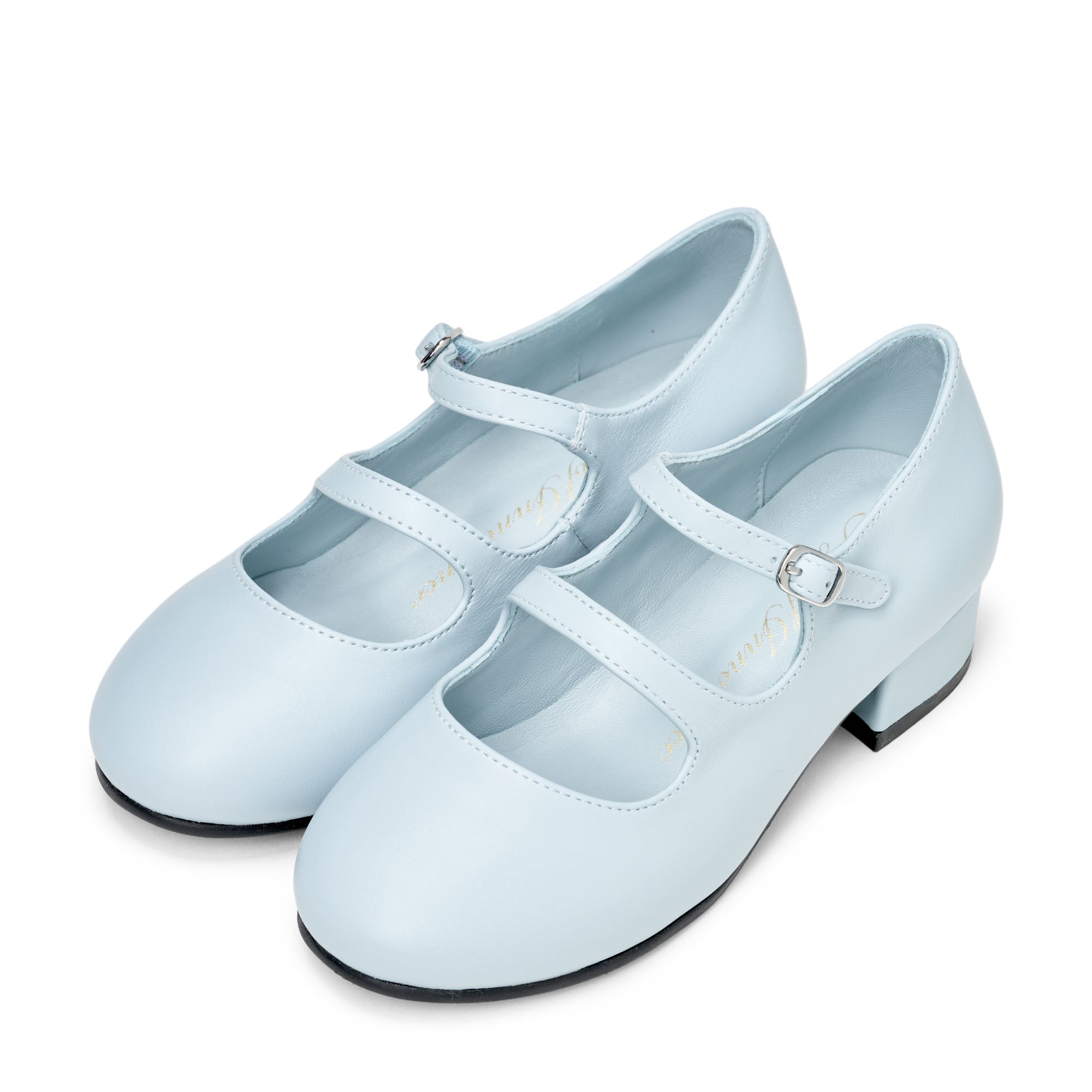 Seema Leather Blue Shoes