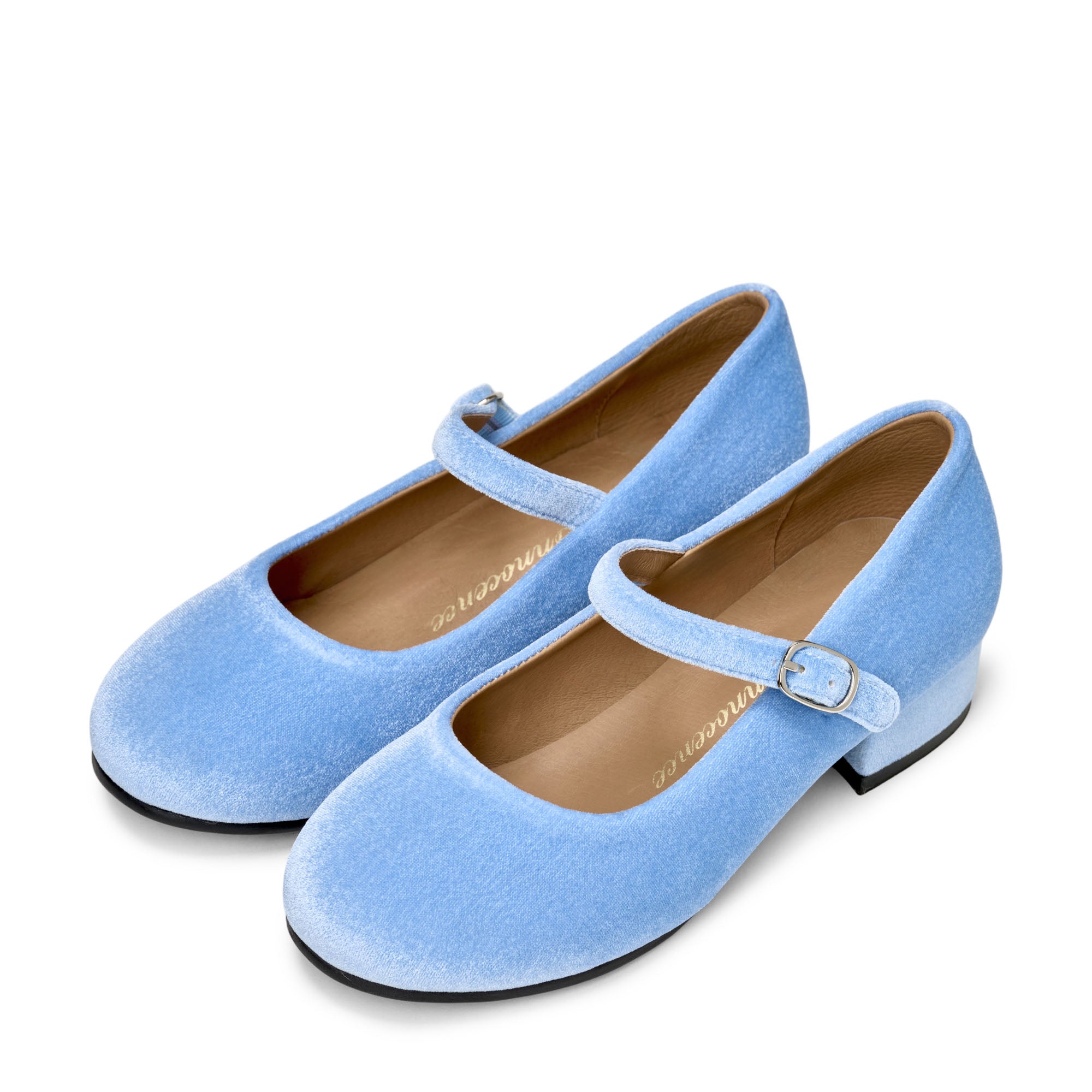 Sabine Blue Shoes