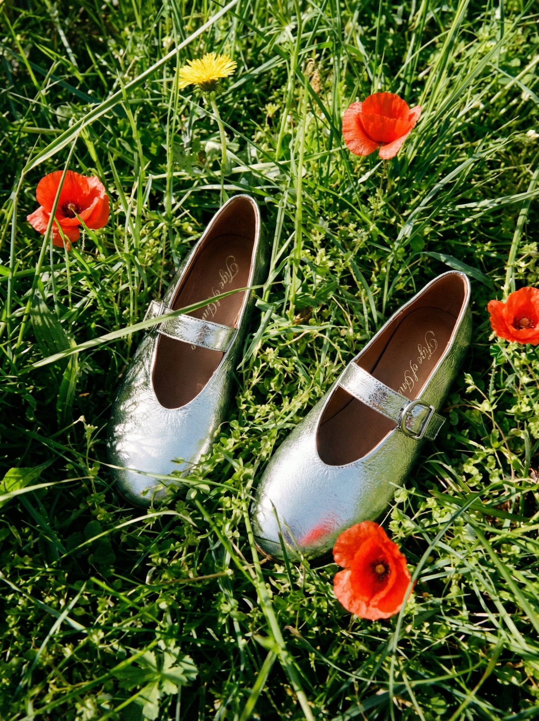 Sydney Leather Silver Flats