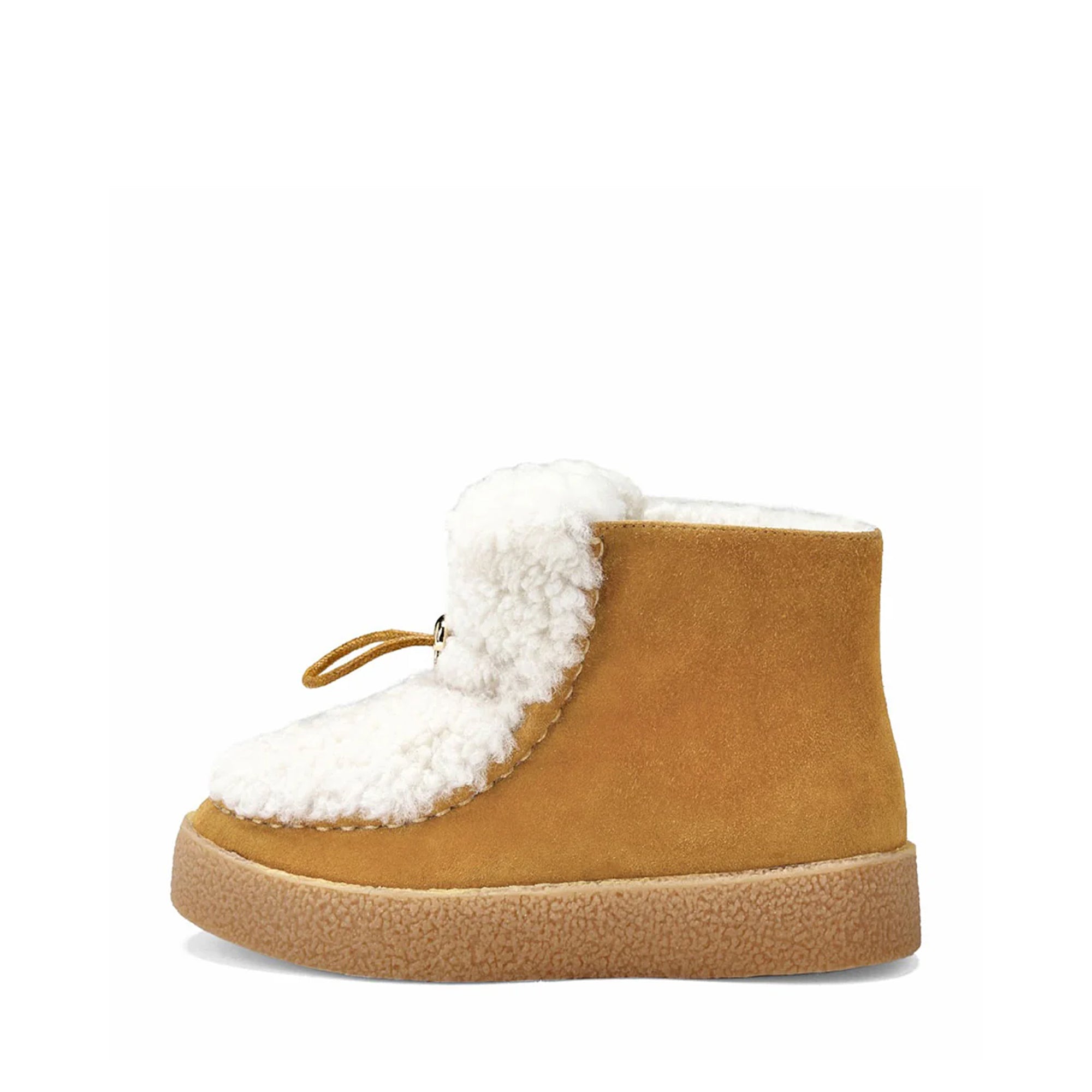 Aspen Camel