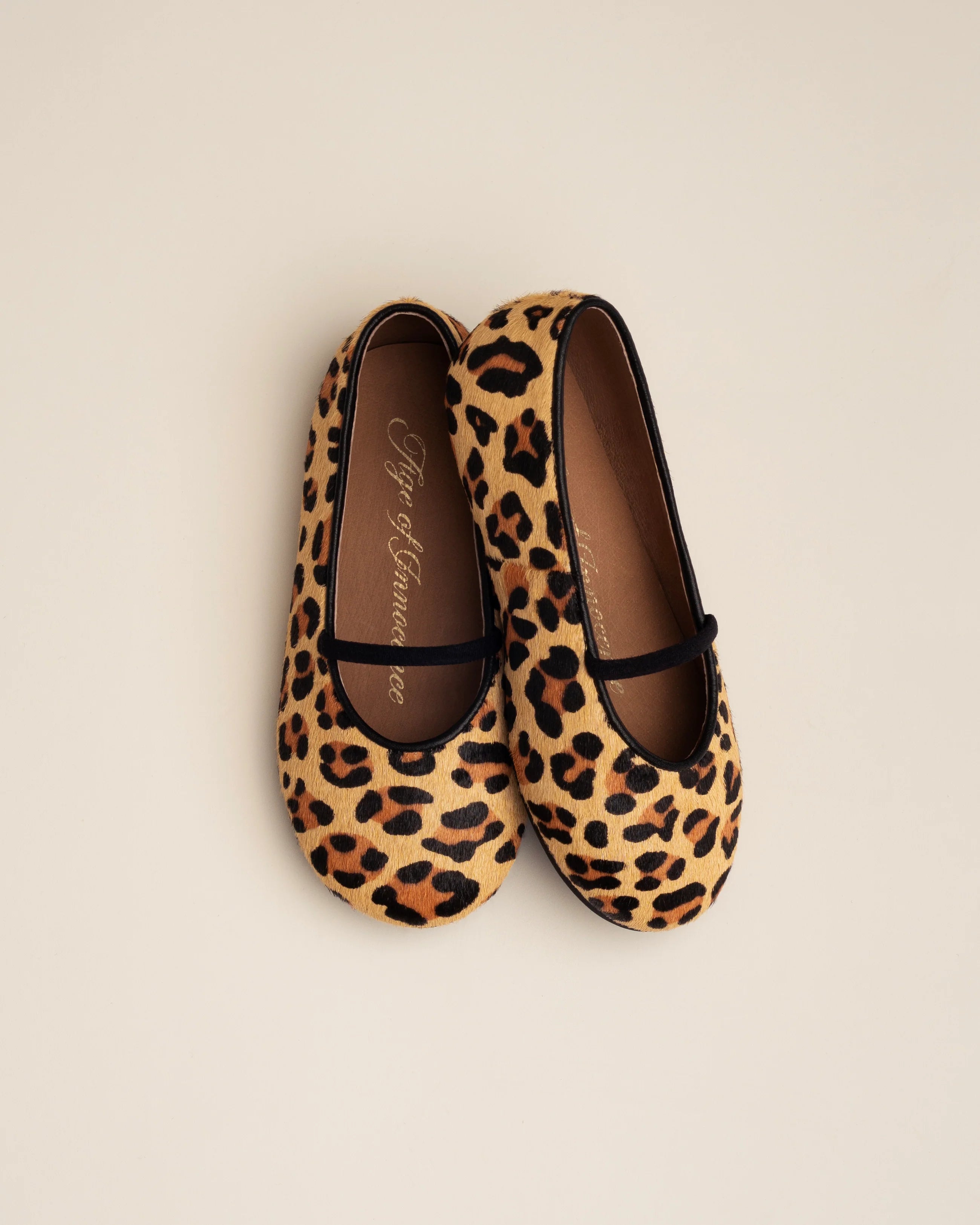 Daphne Animal Print